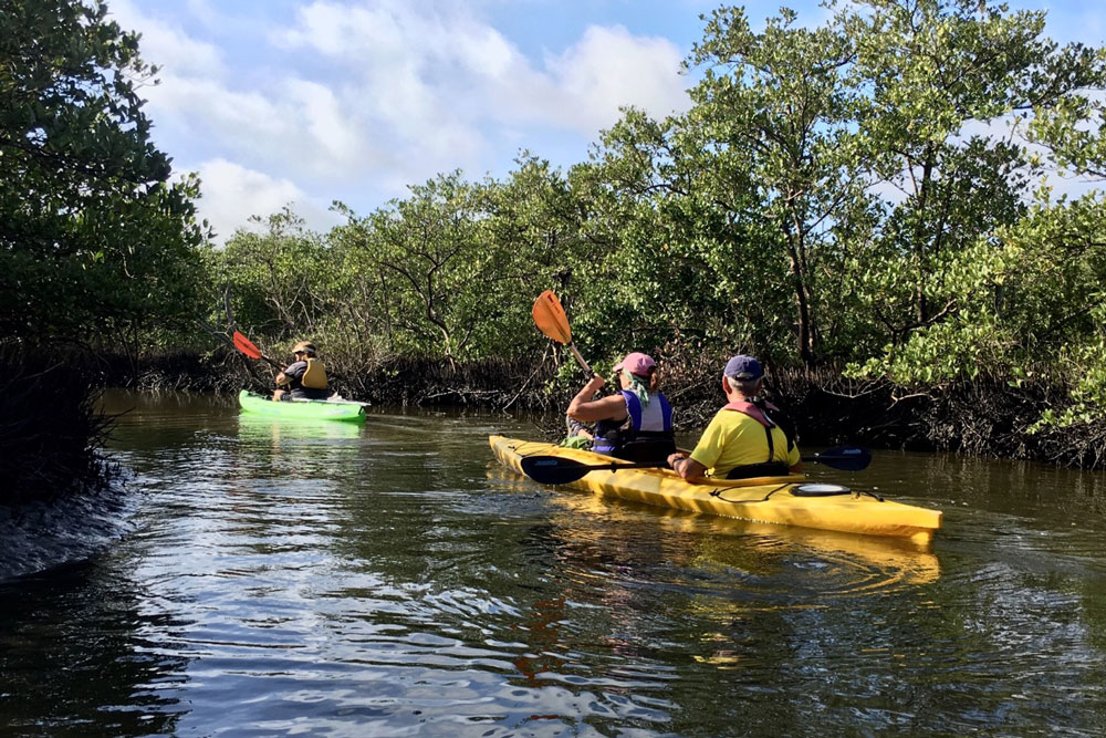 eco tours kayak