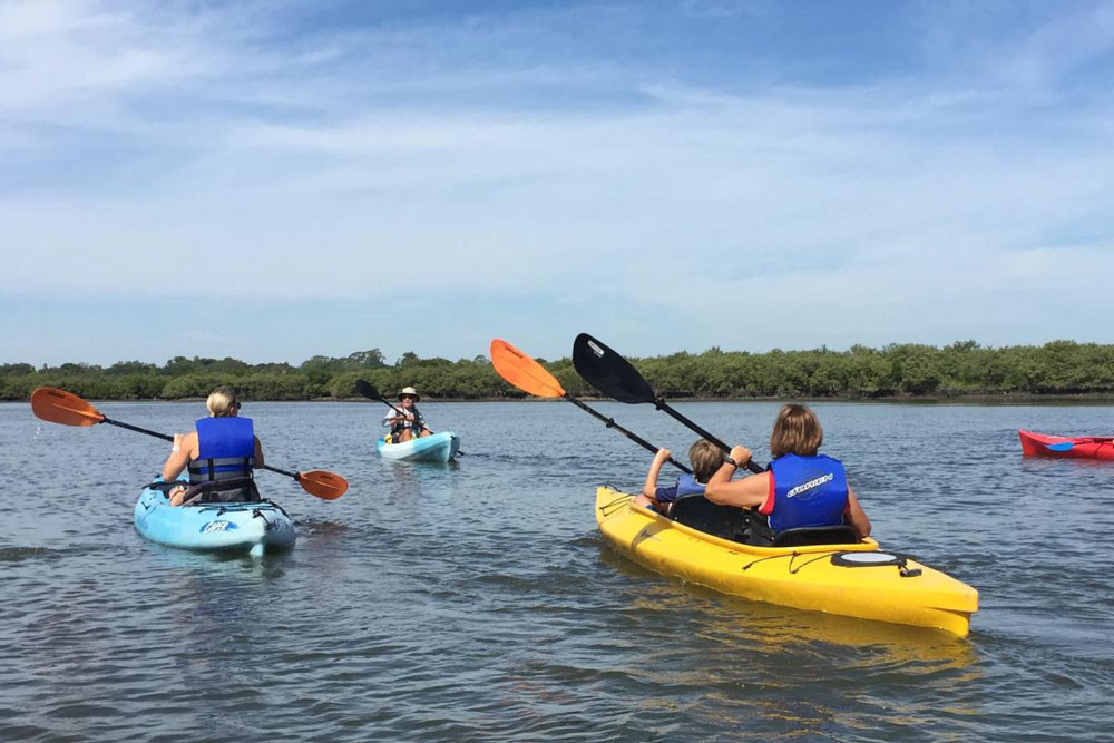 eco tours kayak