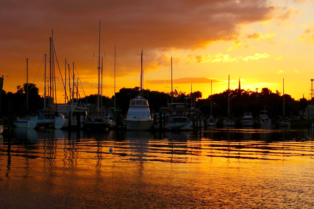 2-Hour Sunset Eco Cruise