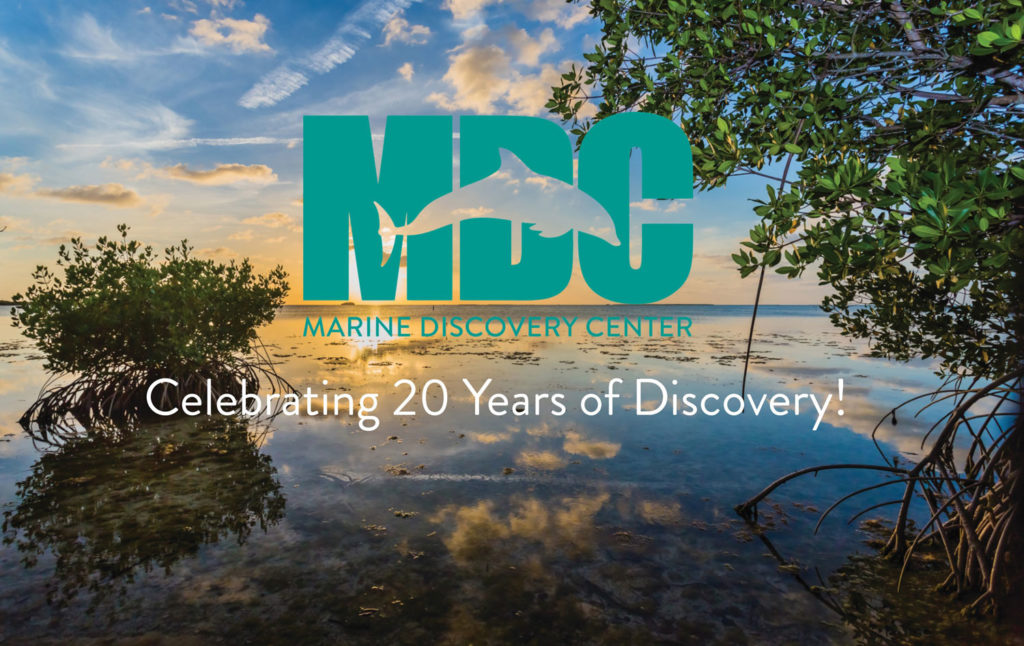 MDC 20th Anniversary
