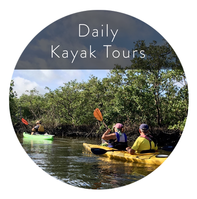 kayak daily tour graphic