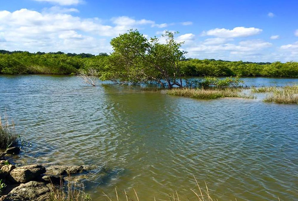 Public Lecture: Coastal Shoreline Surveys