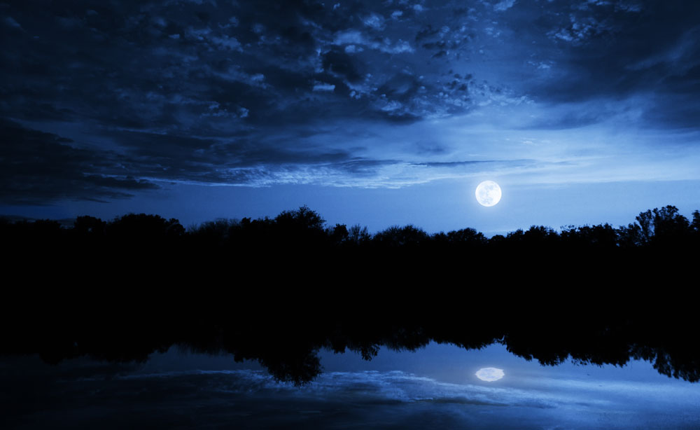 moon on the lagoon for nocturnal discoveries program night moon lagoon