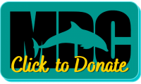 click to donate to MDC