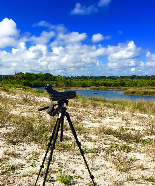 Florida Master Naturalist Program Class Goes Completely Online