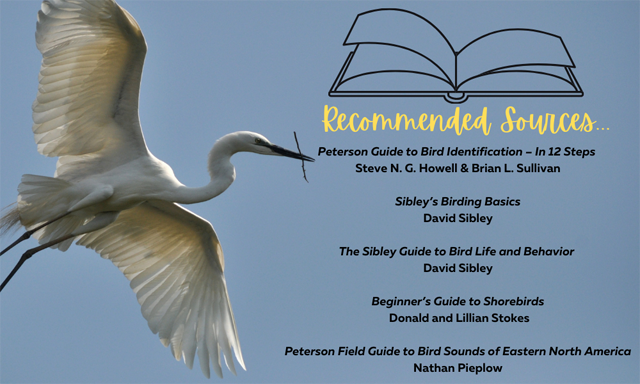 bird reading resources
