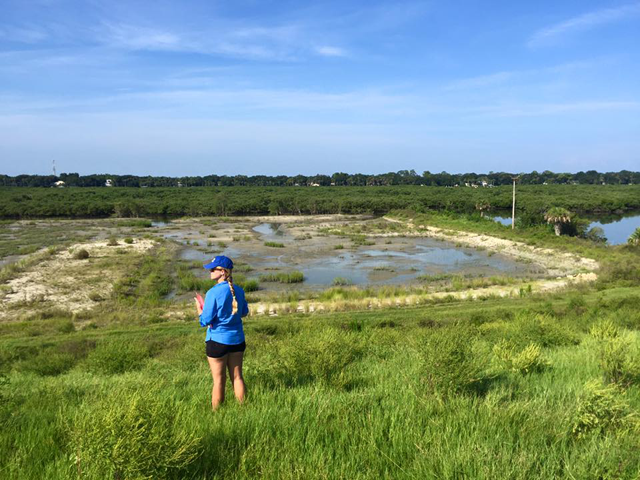 Conservation Science Coordinator Jessy Wayles overlooks the marsh in 2015 during Marsh Madness