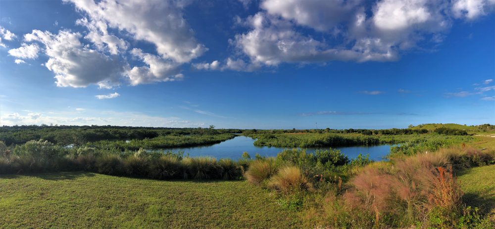 It takes a panoramic view to get it all in! MDC Marsh in 2019