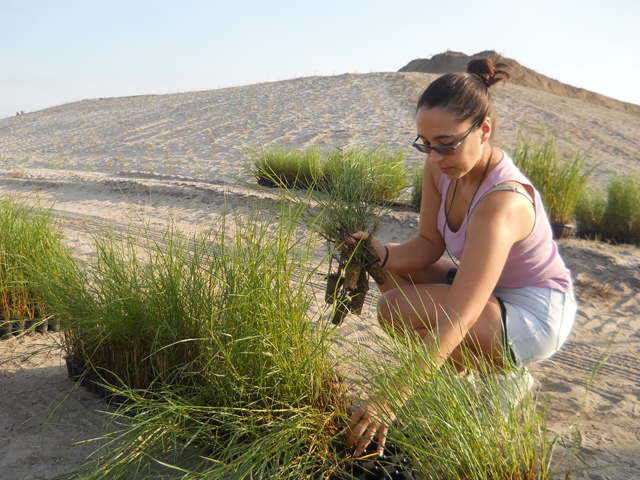 Volunteer Salyna helps with planting the MDC marsh.