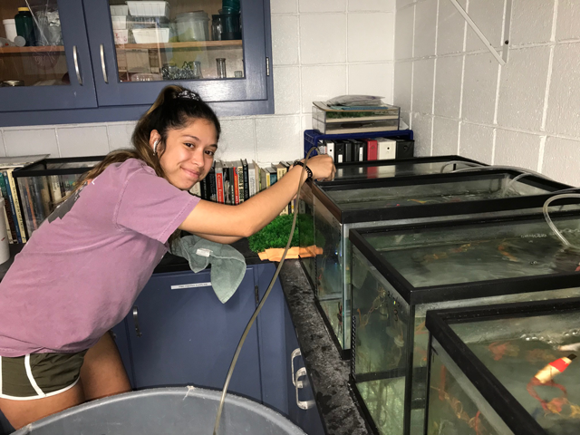 Verania works as an MDC aquarist intern