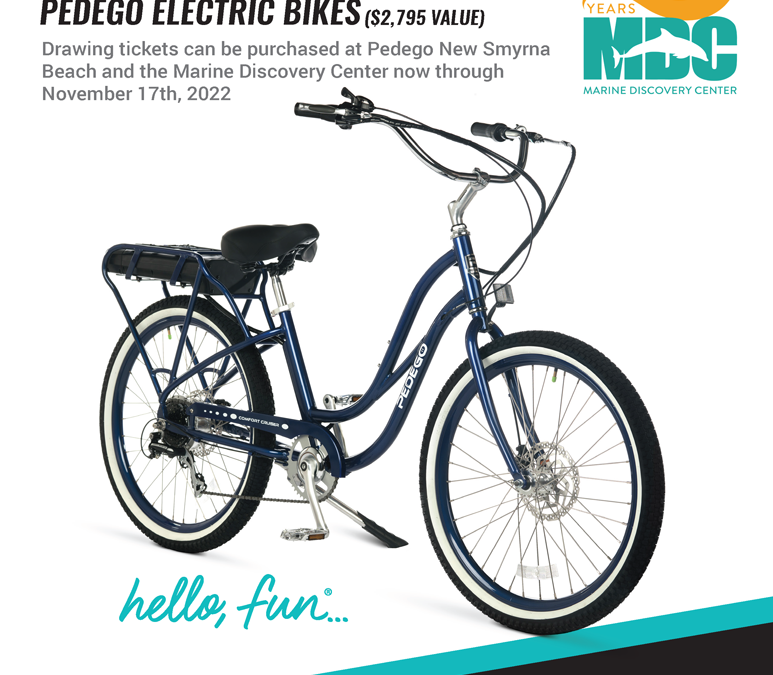 Pedego Bike Drawing | Support MDC
