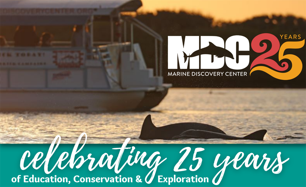 Cheers to 25 Years at MDC