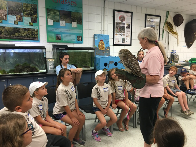 Gina introduces Miko the barred owl to our campers