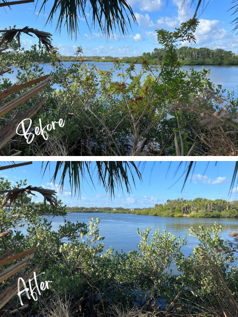 A before and after view of the Lagon