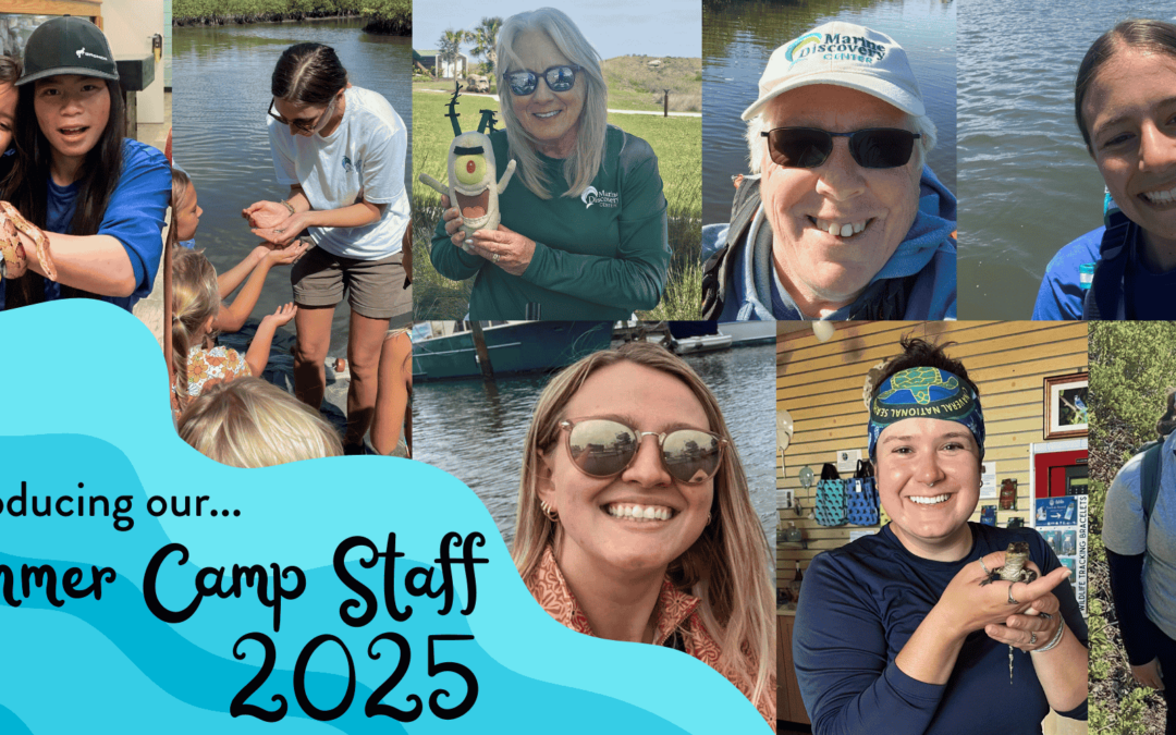 Meet MDC’s 2025 Summer Camp Staff